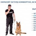 ohrana_obyektov_sobakami-21.jpg